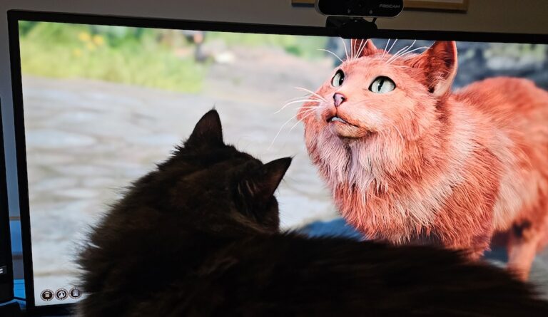 Cat intently watches a cat from Baldur's Gate 3.