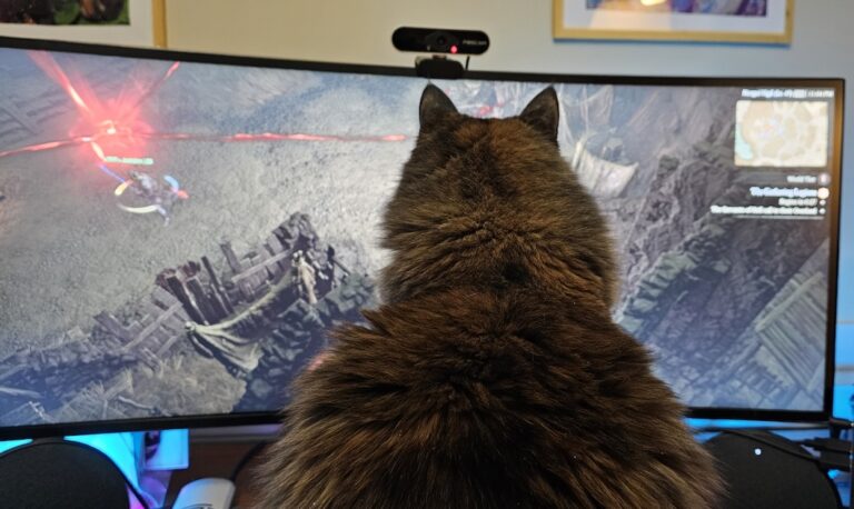 A large cat watches a game of Diablo 4 on a large monitor.